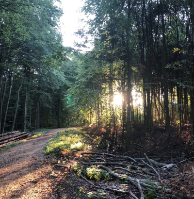 Montée 2018